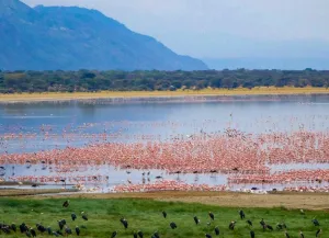 Lake Manyara National Park