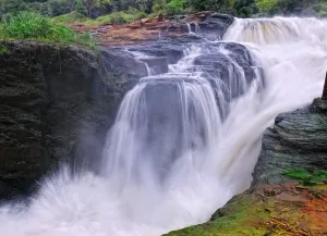 Murchison falls national park