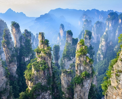 Nature & Outdoor Education