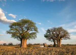 Nxai Pan national park