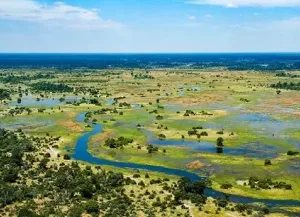 Okavango delta Botswana