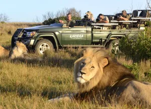South Africa Safaris